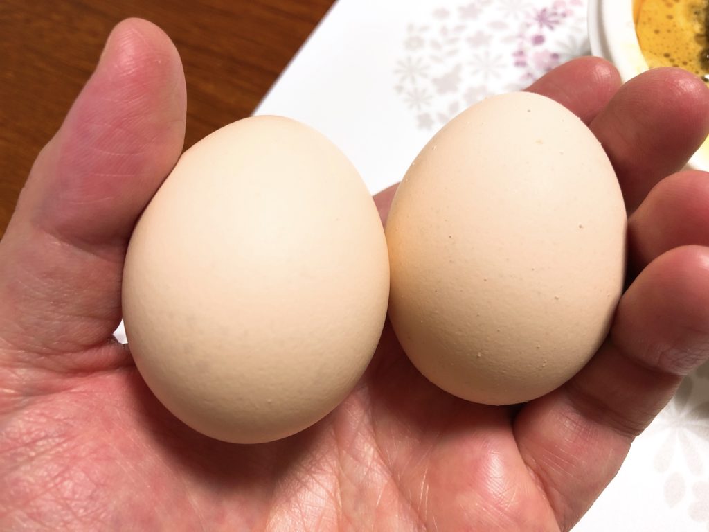 sabotentakeout-egg